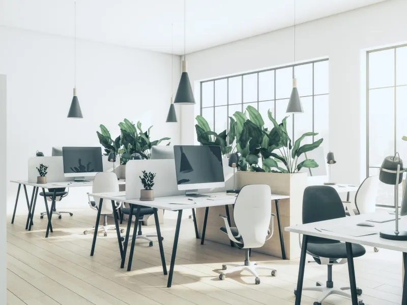 Wie du als lokales KMU schnell Backlinks aufbaust (5 einfache Schritte)